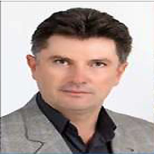 نیما ابراهیمی (کرمان)